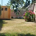 Dans Les Dunes
